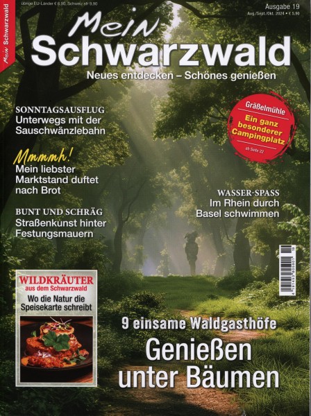 Mein Schwarzwald #19