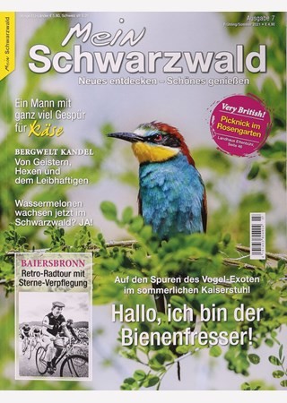Mein Schwarzwald #7